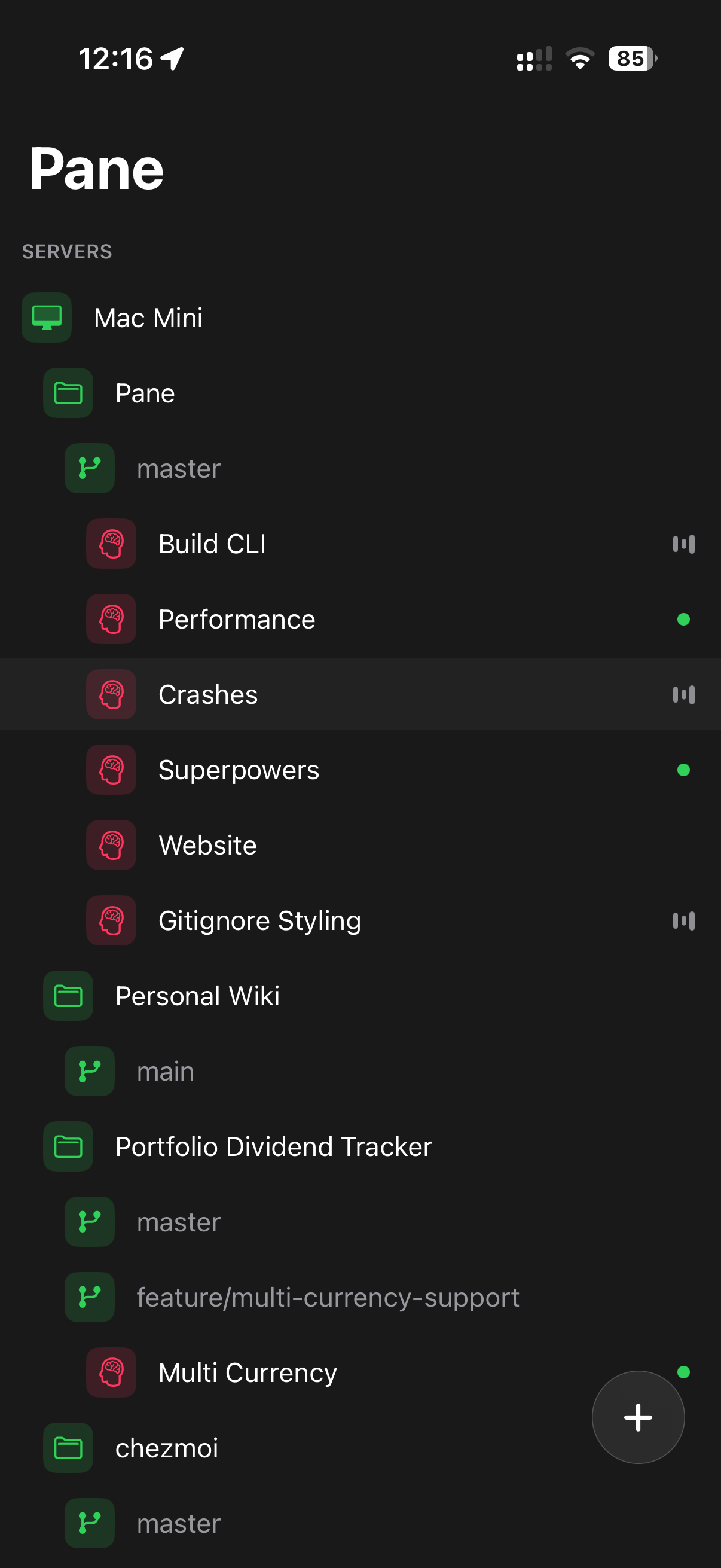 Pane on iPhone — server and project sidebar